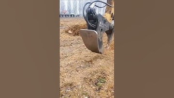 Clearing process of old tree stumps in the forest farm