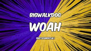 Bigwalkdog - Woah [Instrumental]