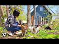 あれから13年が経ちました/犬と猫と穏やかに暮らす森の中の小さな家