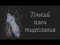 Тонкий плен тщеславия