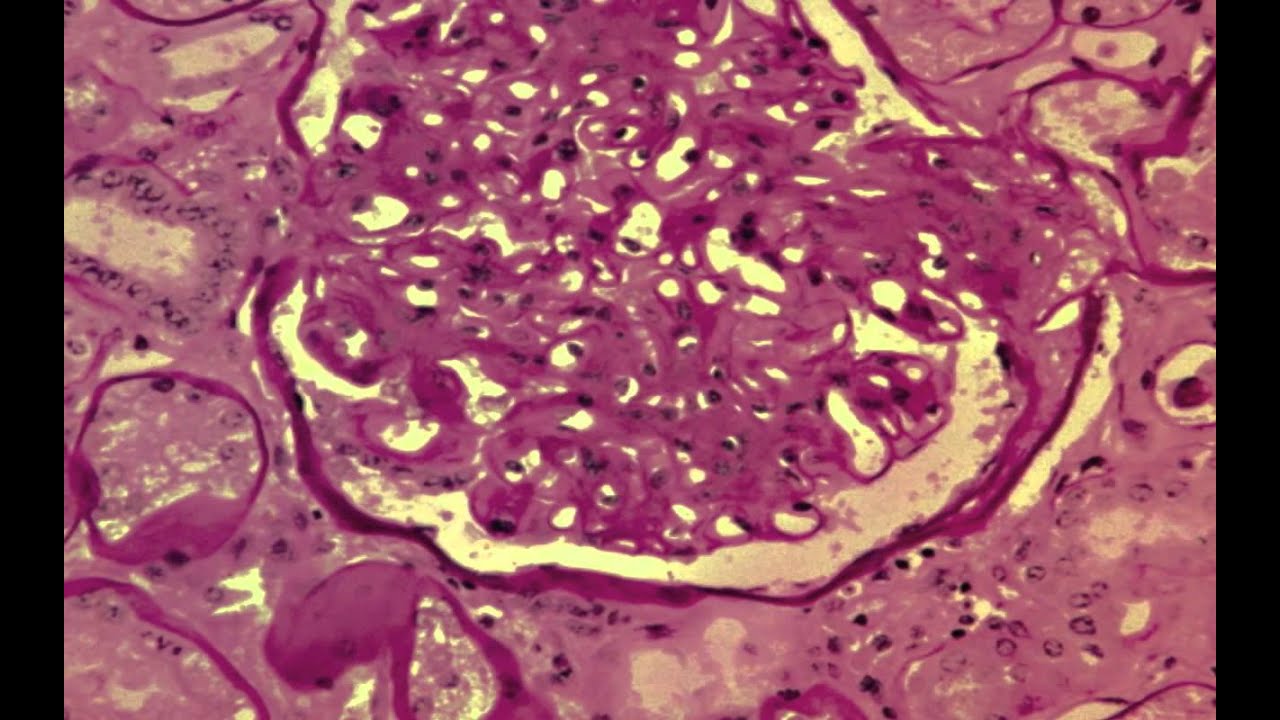 Life Sciences Trade Show Video YouTube