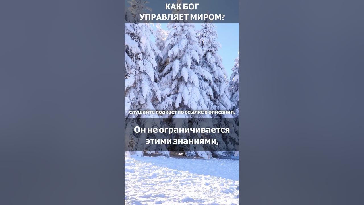 Бог управляет людьми. Бог управляет людьми