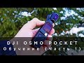 DJI OSMO Pocket - Обучение (Часть 1)