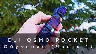 DJI OSMO Pocket - Обучение (Часть 1)