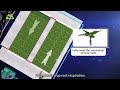 Hydroponic Growing System