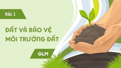Bài 1. Đất và bảo vệ môi trường đất (phần 2) - Khoa học 5 - Cánh diều - OLM.VN