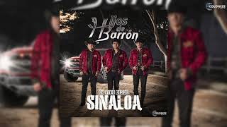 Hijos de Barron - En Vivo Desde Sinaloa (Disco Completo)