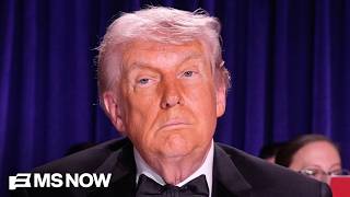 Freedom of the Press? 500 journalists sign letter calling for action amid attacks by Trump
