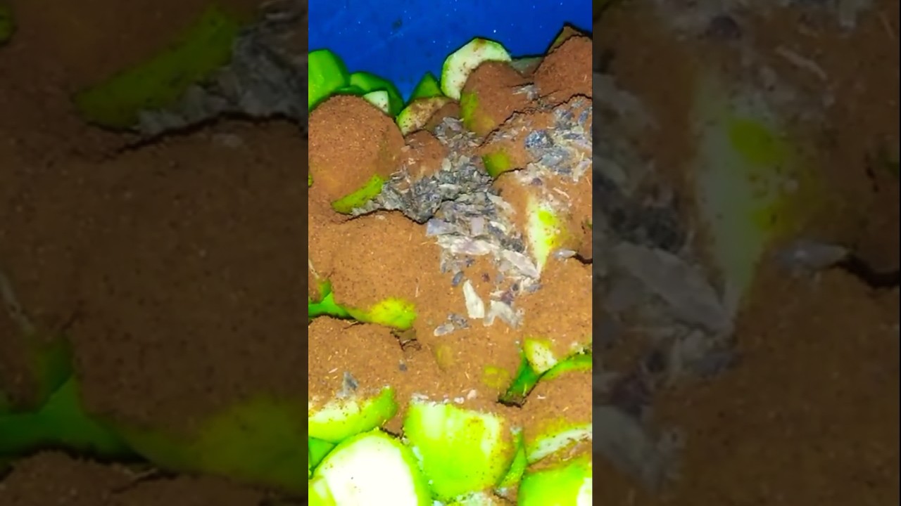 Indian Hog Plum Curry Recipe 🍛 | June Plum (Ambarella) Curry 