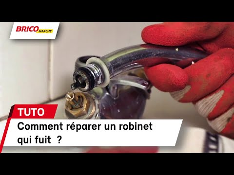 Changer Joint Robinet