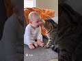 Kids أطفال #kids #kidsvideo #أطفال #سليت_سيفي سليت سيفي #funny #مضحك #جائزة_نوبل #ترامب