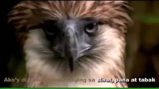 Philippine Eagles TFOE (PE) 1979  'LIPAD'