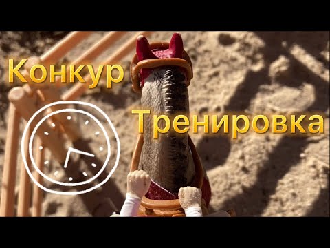 Тренировка Лизы и Агаты лошади шляйх/ Schleich