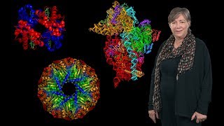 Susan Lindquist (Whitehead Institute, MIT, HHMI): Protein Folding and Disease