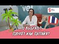 Что лучше выбрать? Пхукет или Паттайя?