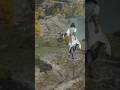 Elden Ring Co-op has bugged out, again. #eldenring #shorts