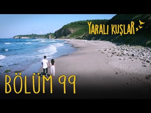 Yaralı Kuşlar 99. Bölüm
