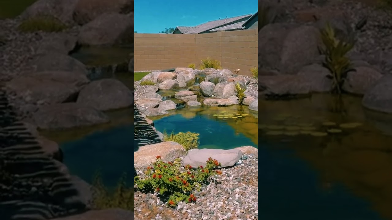 What an 25K investment looks like 👀