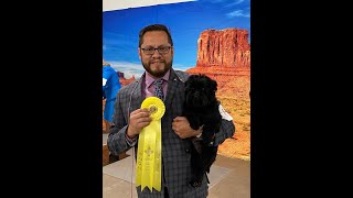 Donnybrook's Sunday wins a Group 3 in the Toy Show #affenpinscher | Surprise, Arizona