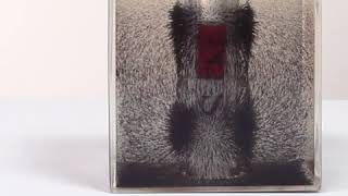 Magnetic Field Cube
