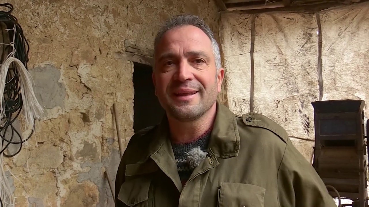 Raccolta e battitura delle castagne a Sillicano di camporgiano,