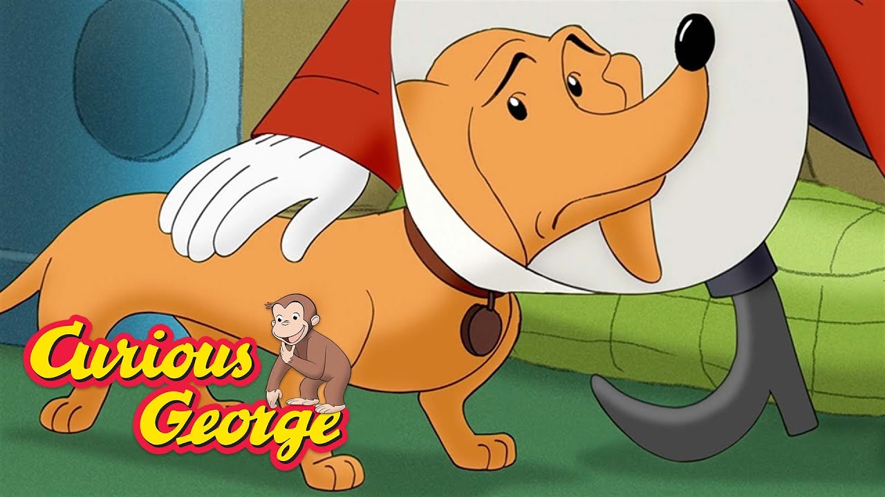 Curious George 🐵 Hundley is ill 🐵 Kids Cartoon 🐵 Kids Movies 🐵 Videos ...