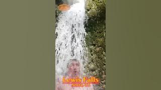 Reviving Natural Waterfall Shower