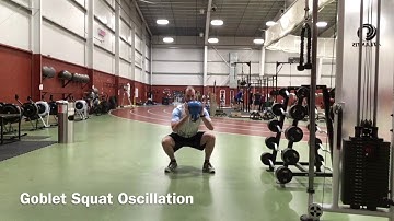 Goblet Squat Oscillation