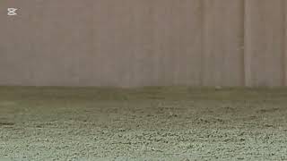 test video 3