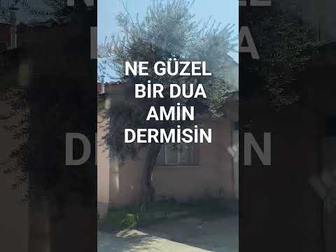 NE GÜZEL BİR DUA AMİN DERMİSİN