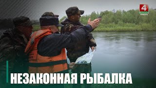 На период нереста рыбы в Беларуси ограничены рыбалка и судоходство по акватории водоемов