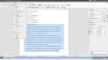 Tuto vidéo : Formater les paragraphes dans LibreOffice Writer