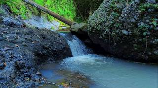 Continuous River Fall & Bamboo Shadow 💤 Original Flowing Sounds to Quiet the Mind