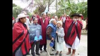 Homenaje a Juan Simón Guanuco -- Taxidermista y Artesano