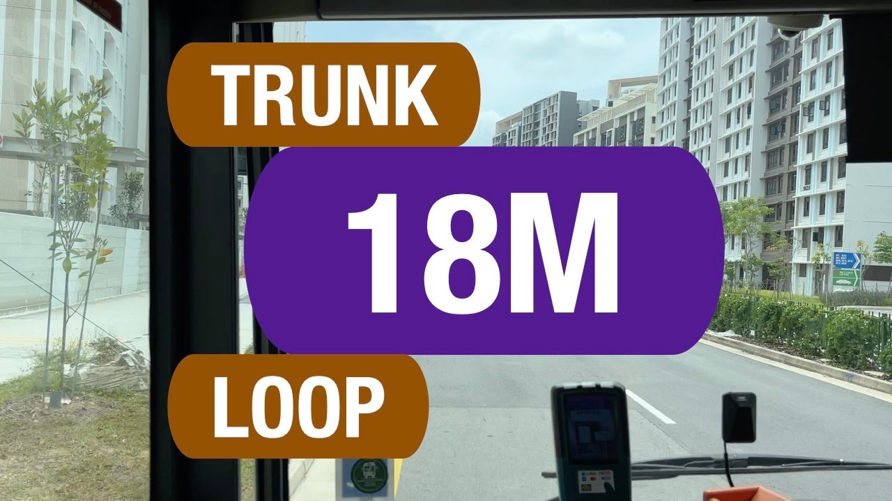 SBS Transit Trunk 18M | Bus Service Route Visual