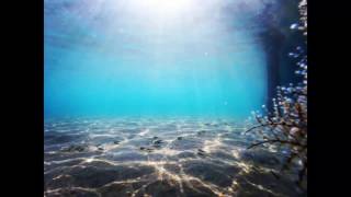 Bülent Ortaçgil - Deniz Kokusu (Photographed By Berk Kızıldağ) Resimi