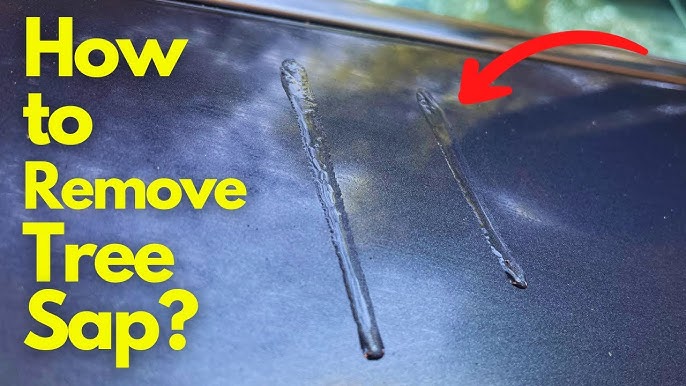 3 ways to remove tree sap from your car