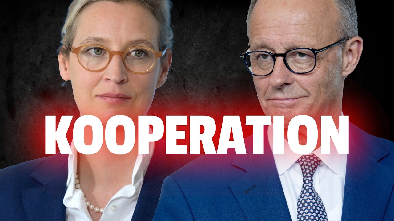 💥CDU-Abgeordnete will für Minderheitsregierung Brandmauer einreißen