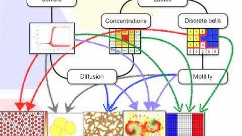 Morpheus: modeling environment for multicellular systems biology