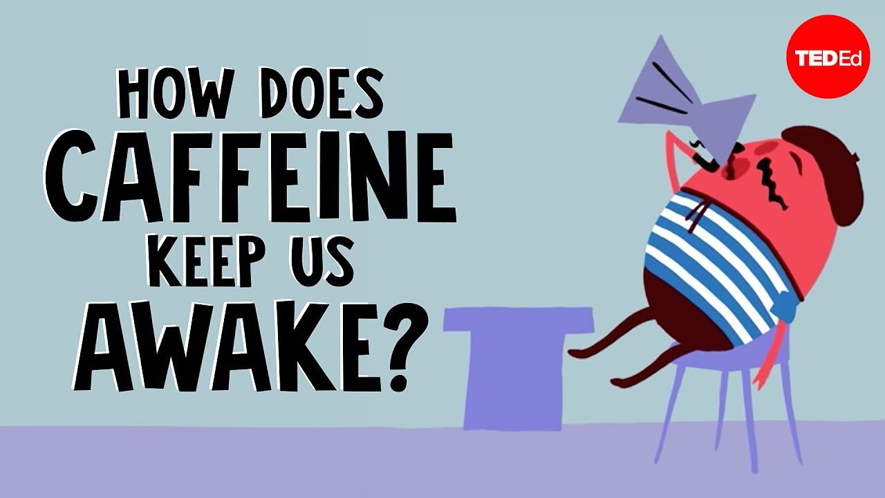 How does caffeine keep us awake   Hanan Qasim