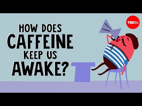 Thumbnail for the embedded element "How does caffeine keep us awake? - Hanan Qasim"