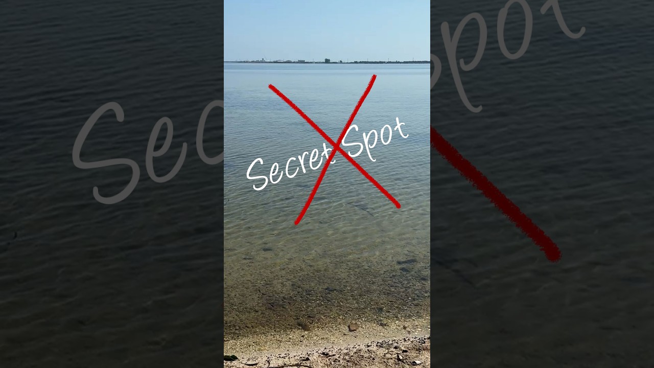 Why I’ve decided to stop sharing My Secret Shelling Spots