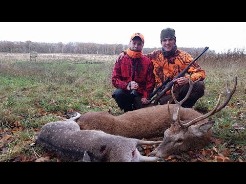 erfolgreiche Abstauberjagd - Hunter Brothers
