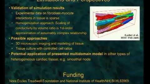 Prof. Frank Sachse | A novel approach to multidomain modeling of electrical conduction in......