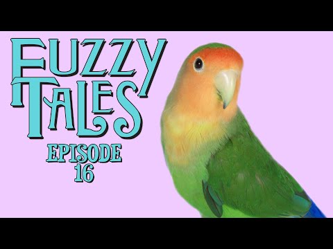 Fuzzy Tales | Ep 16 | The Girl Who Cried Unicorn | The Fuzzy Wizard of Oz | The 