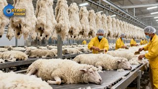 Inside the U.S. Wool Factory: How America Produces Its $555.6 Million Wool Supply