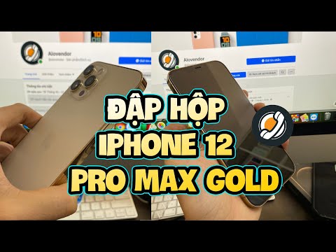 Đập hộp iPhone 12 Pro Max Gold