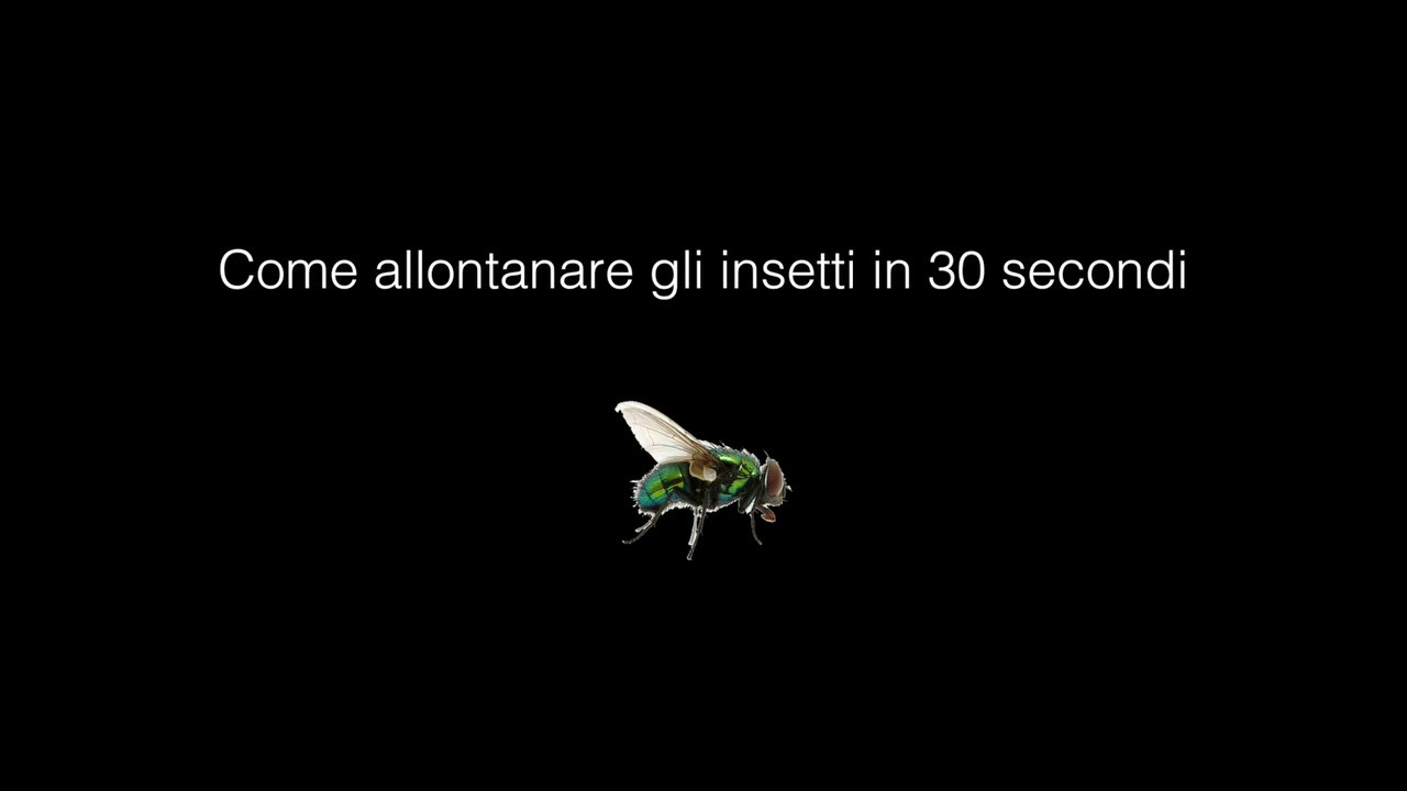 Come allontanare gli insetti in 30 secondi - YouTube