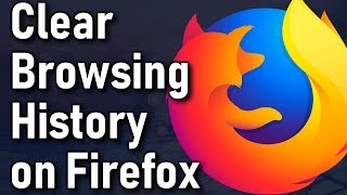 How To Clear Internet Browsing History on Firefox screenshot 4