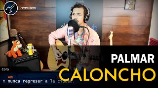 Video thumbnail of "Palmar CALONCHO | Sesiones Acusticas | Christianvib"